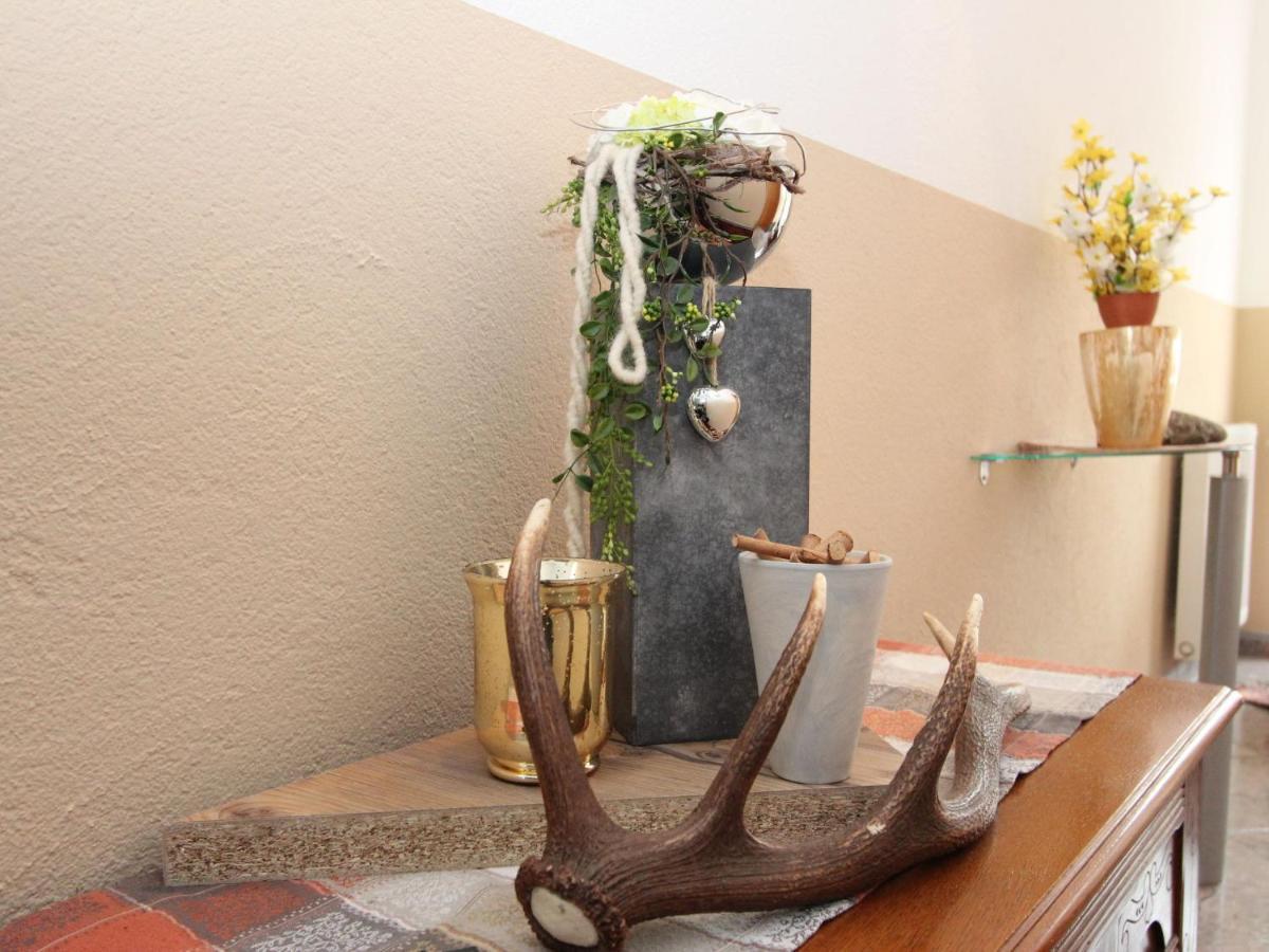Apartment Schweiberer-1 By Interhome Aschau Im Zillertal Dış mekan fotoğraf